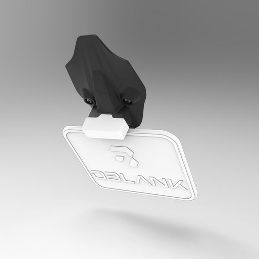 Ducati Panigale V4 Tail Tidy