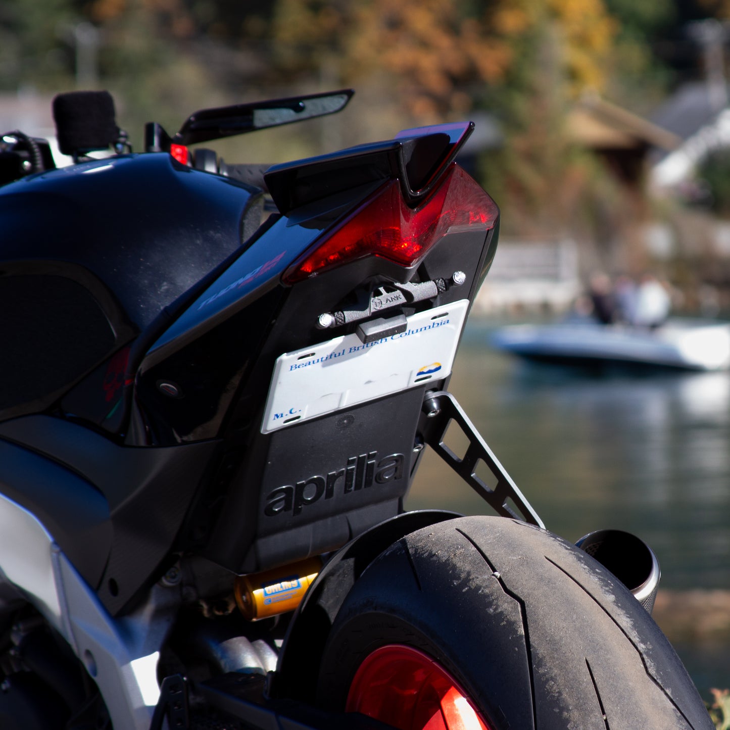 Aprilia Tuono V4/RSV4 Tail Tidy